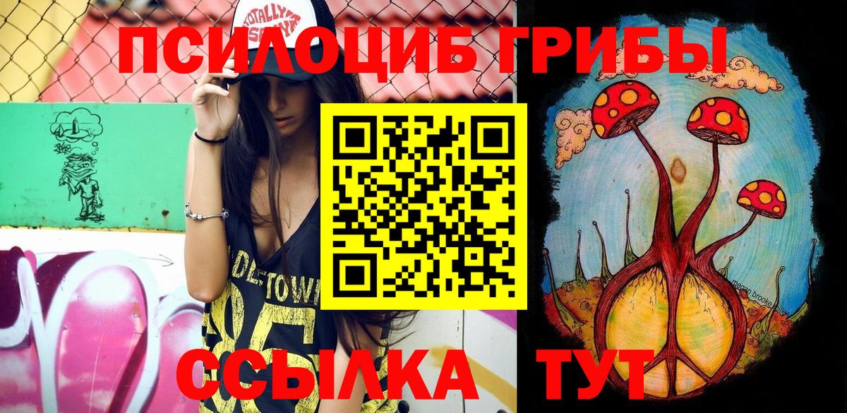 Псилоцибиновые грибы мицелий Черногорск